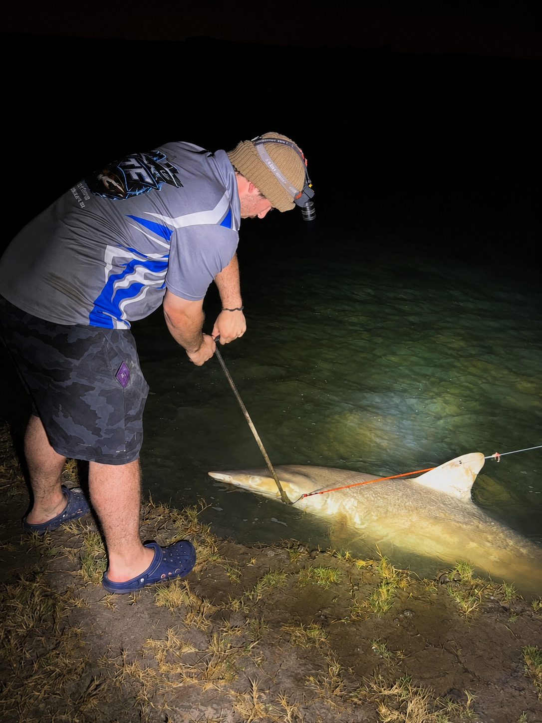Shark Catch – Brisbane