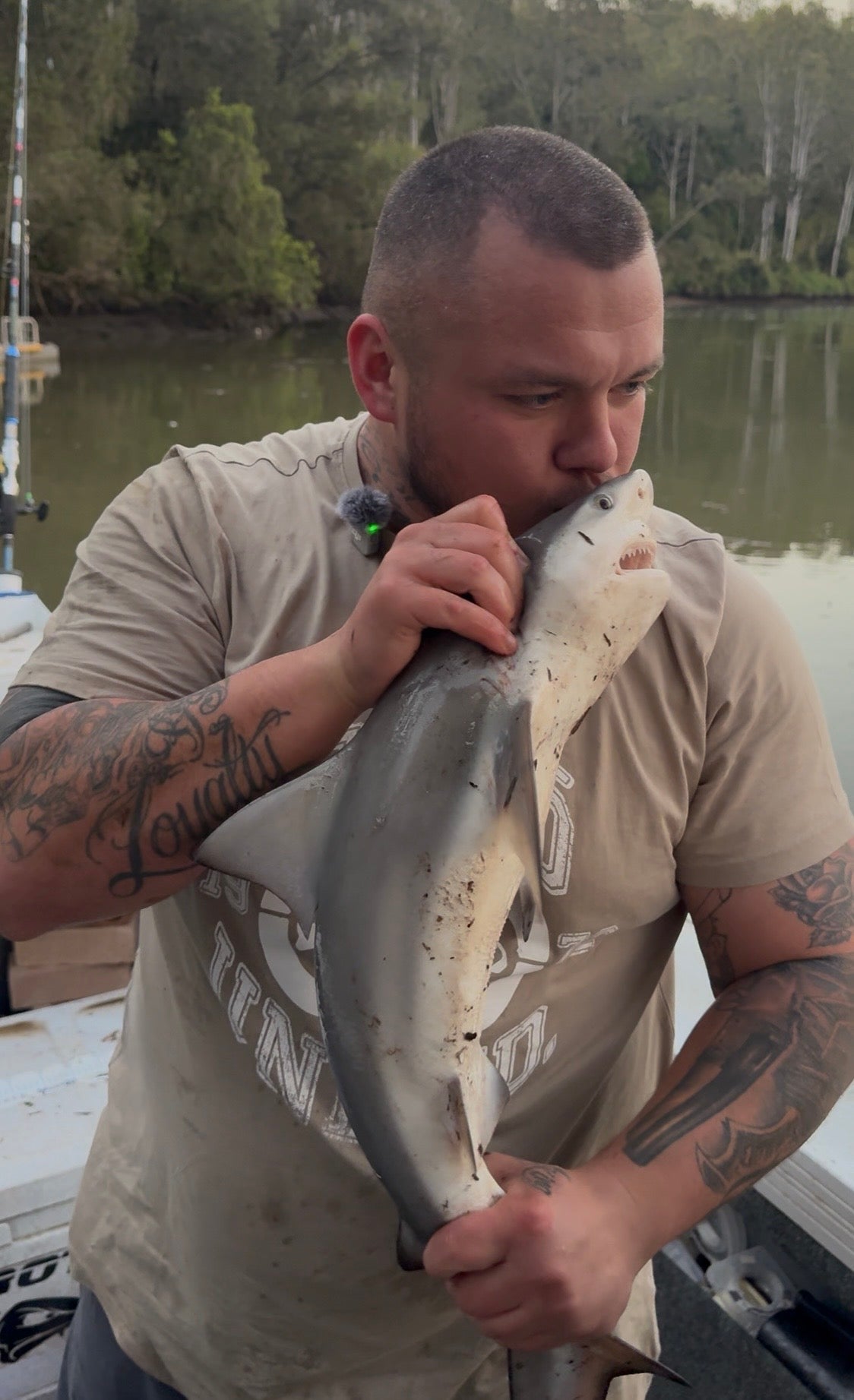Two Bull Sharks Landed in the Brisbane River on a River Pup Rig