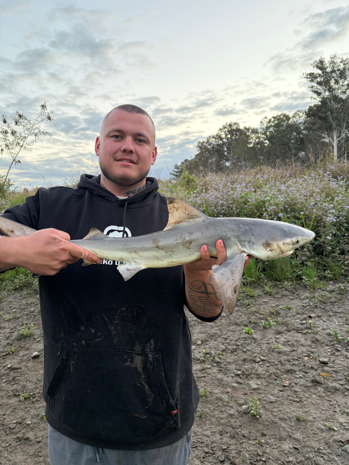 Shark Report – Brisbane River Bull Shark | Harrison
