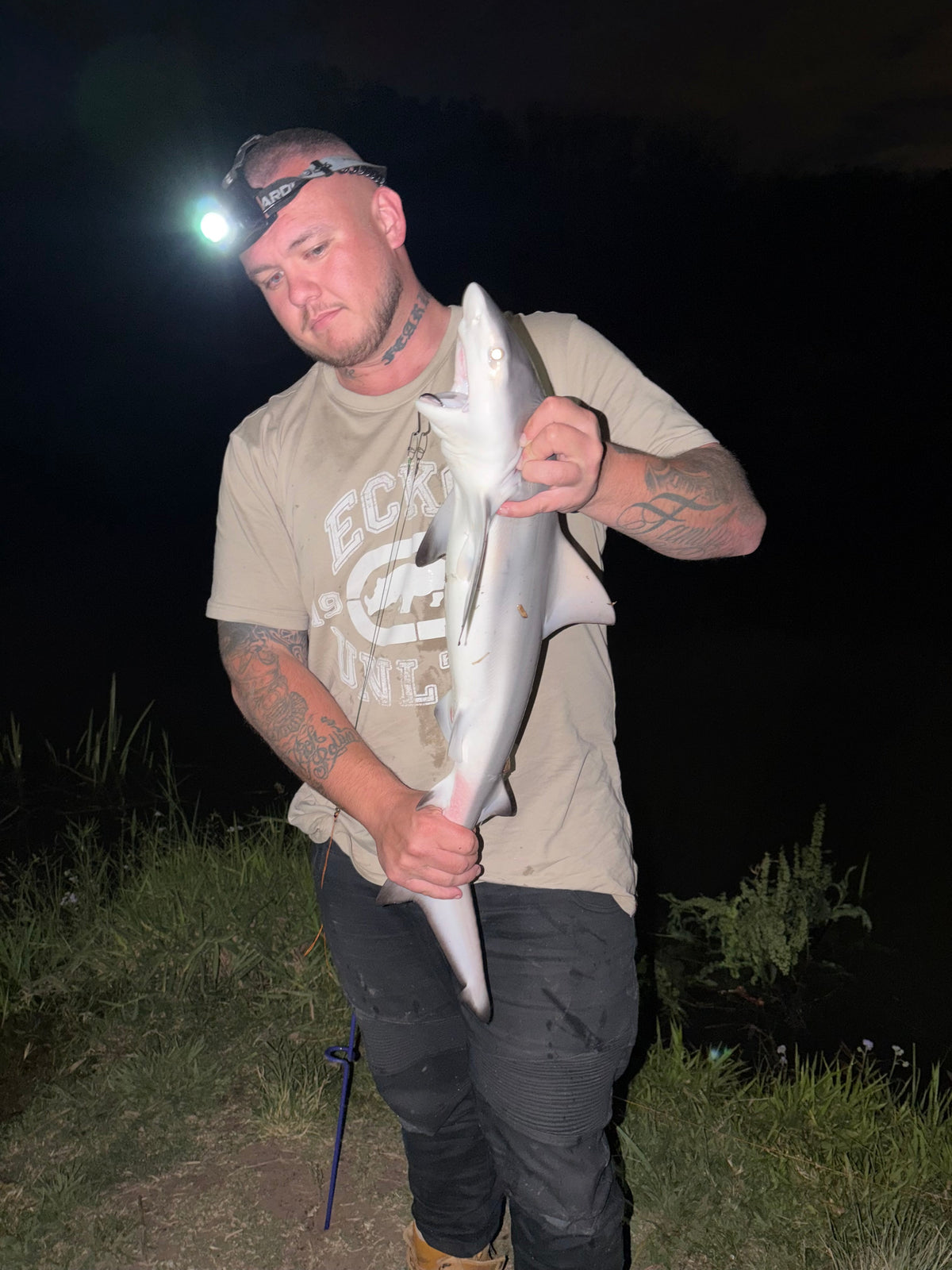 Shark Report – Bremer River Bull Shark | Harrison