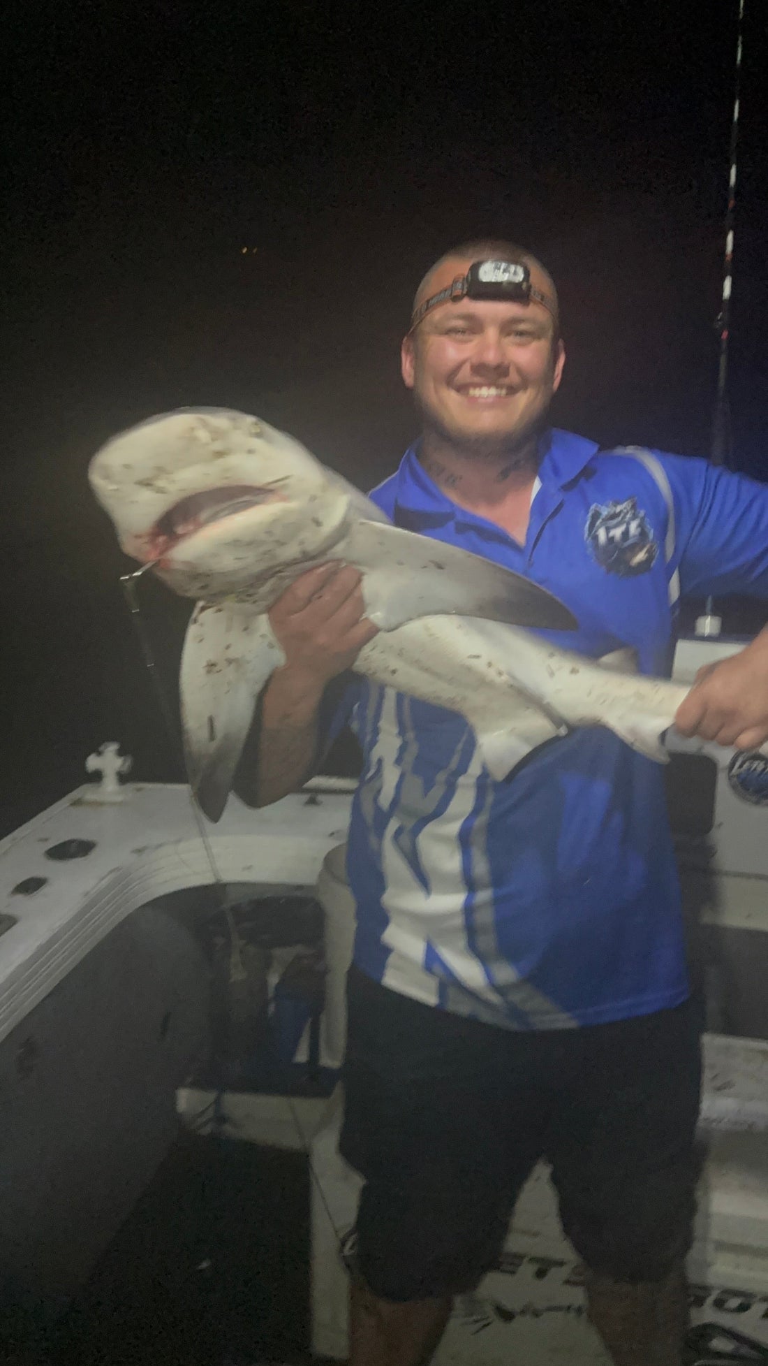 1.14m Bull Shark Caught in Brisbane River on Live Mullet | Shark Report