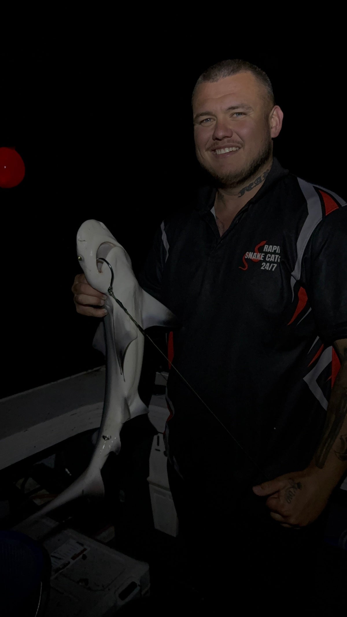 Small Bull Shark Caught in Brisbane River on Live Herring | Shark Report