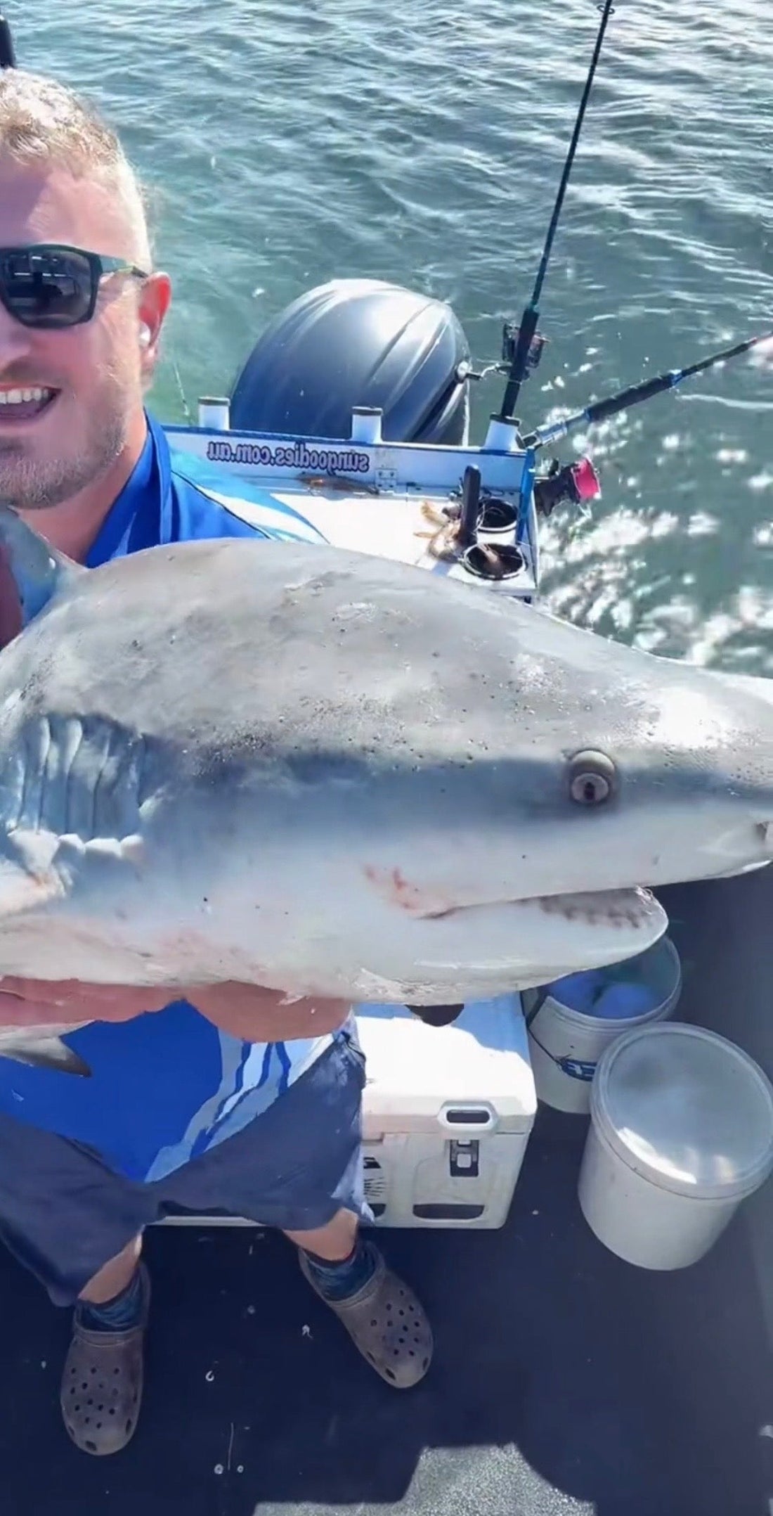 1.4m Bull Shark Caught on the River Pup Rig – Brisbane River